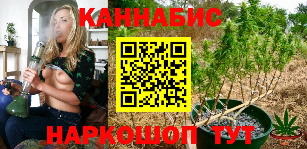 Астрахань  Шишки марихуана Bruce Banner  Шишки марихуана планчик  Вход с VPN  Марихуана семена 